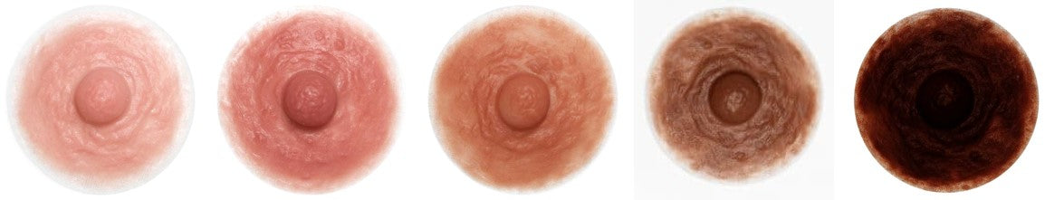 Custom Nipples Diameter (new)