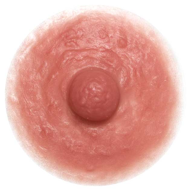 Divine Collection VENUS Self-Adhering Breast Enhancers