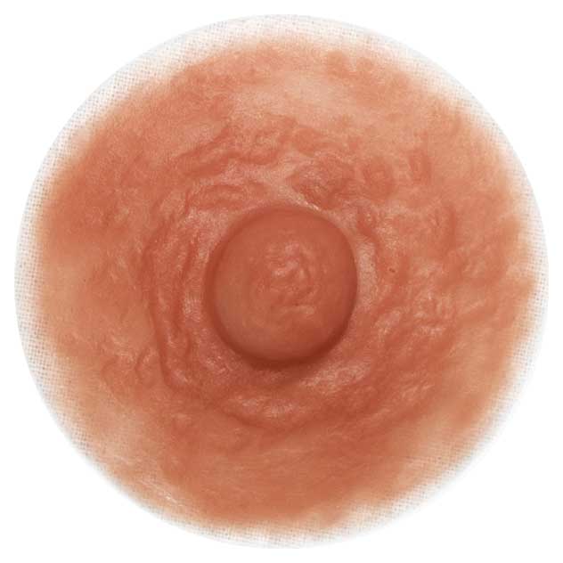 Divine Collection VENUS Self-Adhering Breast Enhancers